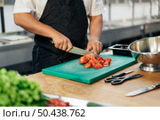 male chef with apron slicing tomatoes kitchen. Стоковое фото, агентство Ingram Publishing / Фотобанк Лори