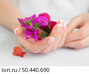 OLYMPUS DIGITAL CAMERA. delicate manicured hands holding flowers. Стоковое фото, агентство Ingram Publishing / Фотобанк Лори