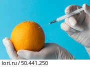 gmo chemical modified food oranges. Стоковое фото, агентство Ingram Publishing / Фотобанк Лори