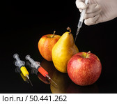 gmo modified pear apples. Стоковое фото, агентство Ingram Publishing / Фотобанк Лори