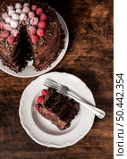 top view chocolate cake slice plate. Стоковое фото, агентство Ingram Publishing / Фотобанк Лори