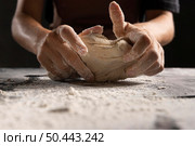 chef s hands kneading dough with flour table. Стоковое фото, агентство Ingram Publishing / Фотобанк Лори