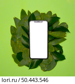eco friendly recycling concept 5. Стоковое фото, агентство Ingram Publishing / Фотобанк Лори