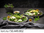 Fresh summer salad with cucumber, melon, avocado and fresh oregano served on ceramic plates. Стоковое фото, агентство Ingram Publishing / Фотобанк Лори