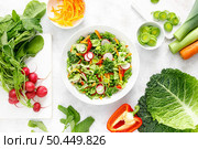 Fresh vegetarian green salad with savoy cabbage, raw carrot, radish, bell pepper, leek and green peas. Стоковое фото, агентство Ingram Publishing / Фотобанк Лори