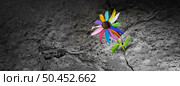 Power of diversity concept as a flower with diverse colors emerging out of a cement crack representing resilience  facing challenges as a metaphor for overcoming social obstacles. Стоковое фото, агентство Ingram Publishing / Фотобанк Лори
