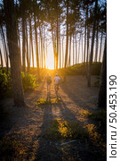 Surfers walking through the pine forest at sunset on top of a sand dune in Maceda, Ovar - Portugal. Стоковое фото, агентство Ingram Publishing / Фотобанк Лори