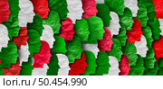 Green White And Red National Citizen concept representing Italian Iranian Hungarian Lebanese and Bulgarian colors as people of Italy Iran Hungary Lebanon and Bulgaria citizenship. Стоковое фото, агентство Ingram Publishing / Фотобанк Лори