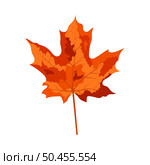 Autumn maple leaf. Leaf fall. Vector illustration. Стоковая иллюстрация, агентство Ingram Publishing / Фотобанк Лори