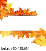 Autumn  Frame With Blowing Maple Leaves  Over White Background. Elegant Design. Vector Illustration. Стоковая иллюстрация, агентство Ingram Publishing / Фотобанк Лори