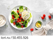 Salad with mozzarella cheese, cherry tomato, olives and romain lettuce, top view. Стоковое фото, агентство Ingram Publishing / Фотобанк Лори