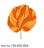 Autumn linden leaf. Leaf fall. Vector illustration. Стоковая иллюстрация, агентство Ingram Publishing / Фотобанк Лори