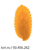 Autumn Rowan leaf. Leaf fall. Vector illustration. Стоковая иллюстрация, агентство Ingram Publishing / Фотобанк Лори