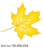 Autumn maple leaf. Fall leaf. Vector illustration. Стоковая иллюстрация, агентство Ingram Publishing / Фотобанк Лори