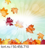 Autumn frame with blowing maple leaves over fall vanilla sky background with sunlight rays and glows. Elegant warm autumn leaf design. Vector illustration. Стоковая иллюстрация, агентство Ingram Publishing / Фотобанк Лори