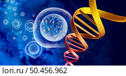 DNS genetic structure and Chromosome cell nucleus  with telomere and double helix concept for a human biology x structure containing gene information as a medical symbol for therapy or microbiology genetics as a 3D illustration. Стоковое фото, агентство Ingram Publishing / Фотобанк Лори