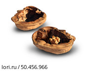 Alzheimers And Dementia as a Concept of memory loss and shrinking brain size disease or losing cognative function as as an alzheimer health symbol of neurology and mental problems with a walnut shaped as a human head. Стоковое фото, агентство Ingram Publishing / Фотобанк Лори