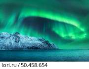 Aurora borealis over the snowy mountains, sea coast at night in Lofoten, Norway. Northern lights above snow covered rocks. Winter landscape with polar lights, fjord. Starry sky with bright aurora. Стоковое фото, агентство Ingram Publishing / Фотобанк Лори