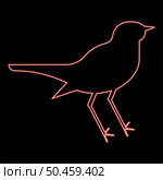 Neon nightingale Luscinia Bird silhouette icon black color vector illustration flat style simple image red color vector illustration image flat style light. Neon nightingale Luscinia Bird silhouette icon black color vector illustration flat style image red color vector illustration image flat style. Стоковая иллюстрация, агентство Ingram Publishing / Фотобанк Лори