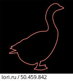 Neon goose Gosling Geese Anser Gander red color vector illustration image flat style light. Neon goose Gosling Geese Anser Gander red color vector illustration image flat style. Стоковая иллюстрация, агентство Ingram Publishing / Фотобанк Лори