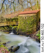 Surrounding landscape of the Estanislau fountain park and the Lourido river that divides the parishes of Arada and Maceda in the Municipality of Ovar, Portugal. Стоковое фото, агентство Ingram Publishing / Фотобанк Лори
