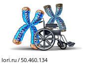 Telomere shortening and aging concept or reduction of telomeres located on the end caps of a chromosomes resulting in damaged DNA as a young chromosome pushing a wheel chair or wheelchair pushing old genetic material with 3D illustration elements. Стоковое фото, агентство Ingram Publishing / Фотобанк Лори