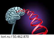 Brain and DNA as genes linked to gene mutation responsible for neurological or mental health disorders and development of the thinking organ affecting cognitive functioning with 3D illustration elements. Стоковое фото, агентство Ingram Publishing / Фотобанк Лори