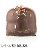 Chocolate coated marshmallow isolated on white background. Стоковое фото, агентство Ingram Publishing / Фотобанк Лори