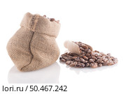 Pinto beans bag with wooden scoop on white background. Стоковое фото, агентство Ingram Publishing / Фотобанк Лори