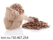 Burlap bag with lentils and wooden scoop on white background. Стоковое фото, агентство Ingram Publishing / Фотобанк Лори
