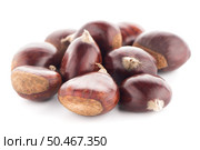 Chestnuts with shell isolated on white background. Стоковое фото, агентство Ingram Publishing / Фотобанк Лори