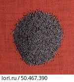 Top view of poppy seeds against red vinyl background. Стоковое фото, агентство Ingram Publishing / Фотобанк Лори