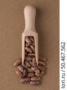 Top view of wooden scoop with pinto beans against brown vinyl background. Стоковое фото, агентство Ingram Publishing / Фотобанк Лори