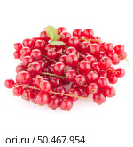 Red Currants close up on white background. Стоковое фото, агентство Ingram Publishing / Фотобанк Лори