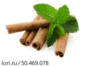 Cinnamon sticks on white reflective background. Стоковое фото, агентство Ingram Publishing / Фотобанк Лори