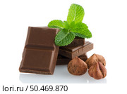 Closeup detail of chocolate parts and mint leaves on white background. Стоковое фото, агентство Ingram Publishing / Фотобанк Лори