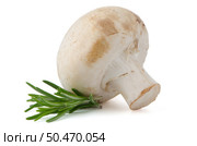 Champignon mushroom and parsley leaves isolated on white background. Стоковое фото, агентство Ingram Publishing / Фотобанк Лори