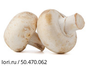 Champignon mushrooms on white background. Стоковое фото, агентство Ingram Publishing / Фотобанк Лори