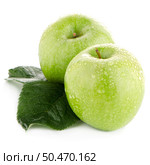 Two fresh green apples on white background. Стоковое фото, агентство Ingram Publishing / Фотобанк Лори