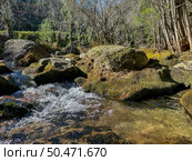 Water stream near Fecha de Barjas waterfall (also known as Tahiti waterfall) in the mountains of Peneda-Geres National Park, Portugal. Стоковое фото, агентство Ingram Publishing / Фотобанк Лори