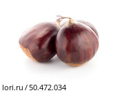 Chestnuts with shell isolated on white background. Стоковое фото, агентство Ingram Publishing / Фотобанк Лори