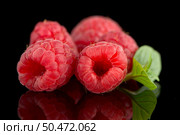 Raspberries with leaves isolated on black background background. Стоковое фото, агентство Ingram Publishing / Фотобанк Лори