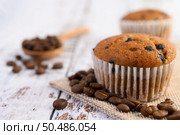Banana cupcakes mixed with chocolate chip on a white plate. Стоковое фото, агентство Ingram Publishing / Фотобанк Лори