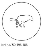 Dog defecation poke pooping pet feces doing its toilet concept of place for walking with animals shit site excrement canine icon in circle round black color vector illustration image outline contour line thin style simple. Dog defecation poke pooping pet feces doing its toilet concept of place for walking with animals shit site excrement canine icon in circle round black color vector illustration image outline contour line thin style. Стоковая иллюстрация, агентство Ingram Publishing / Фотобанк Лори