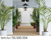 3D illustration mockup photo frame on beautiful wall in gallery hall or lobby of luxury building, Decorated with scandinavian style interior and natural rendering. Стоковое фото, агентство Ingram Publishing / Фотобанк Лори