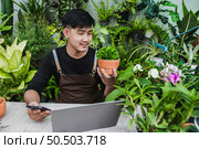 Happily gardener man use smartphone and laptop computer while online tutorial on potted plans in shop, vlogging or small business houseplant concept. Стоковое фото, агентство Ingram Publishing / Фотобанк Лори