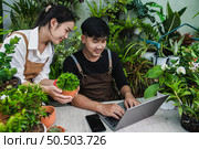 Happily gardener couple use laptop computer while online tutorial on potted plans in workshop together, vlogging or small business houseplant concept. Стоковое фото, агентство Ingram Publishing / Фотобанк Лори