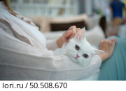 A young woman works at home while a white Persian cat snuggles alongside to encourage his master. Стоковое фото, агентство Ingram Publishing / Фотобанк Лори