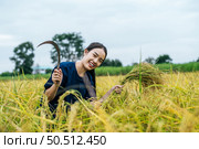 Young Asian female farmer harvest of the ripe rice with a sickle in rice field, she smile with feels proud of the success of growing rice on paddy the rice field. Стоковое фото, агентство Ingram Publishing / Фотобанк Лори