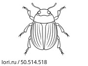 Illustration of a beetle in outline on a white background. Children's coloring, sketch. Стоковое AI-изображение, AI-художник Коханова Наталья / Фотобанк Лори